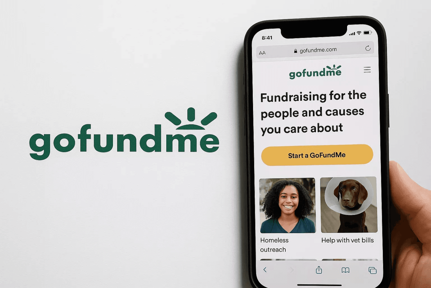 GoFundMe screenshot
