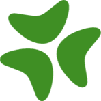 Bloomerang