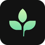 Tithe.ly