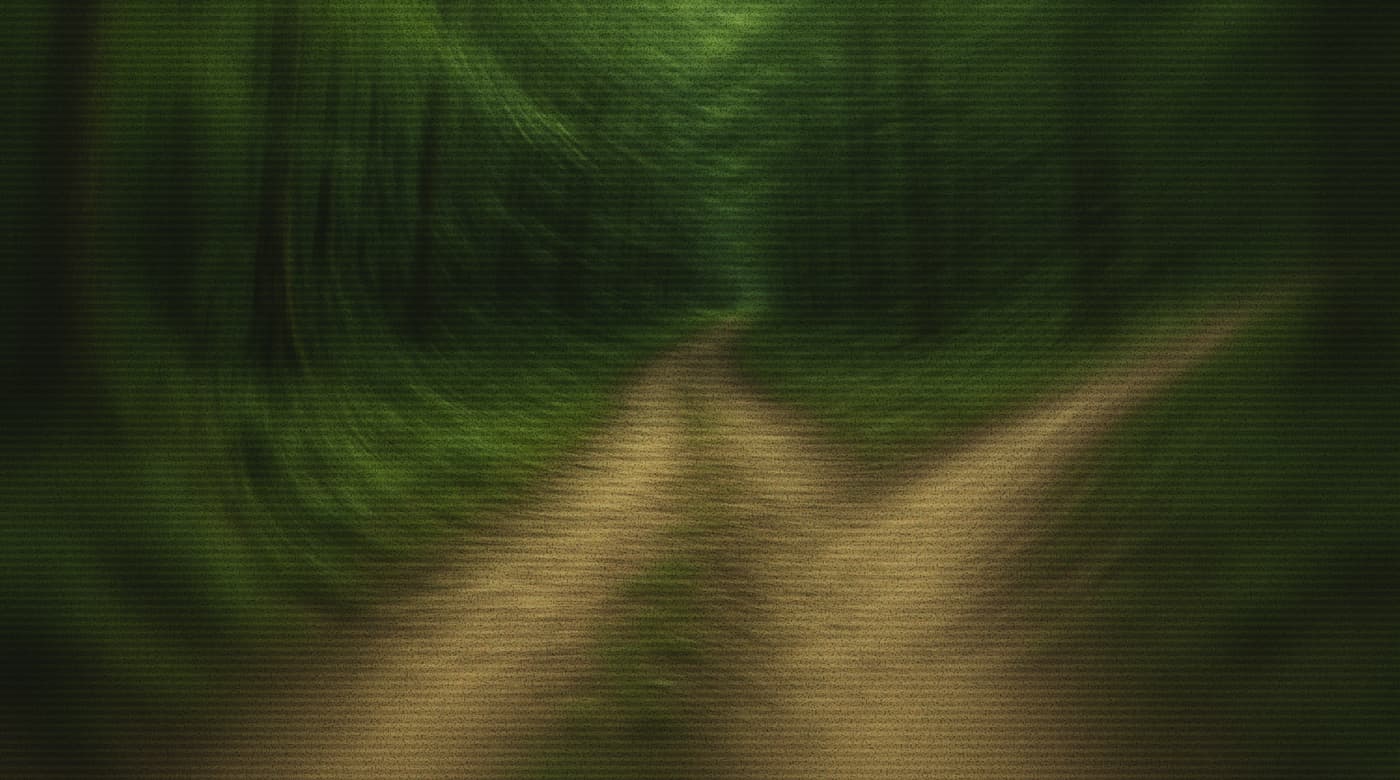 The path forward is a bit confusing, and a tempting side trail is close at hand.