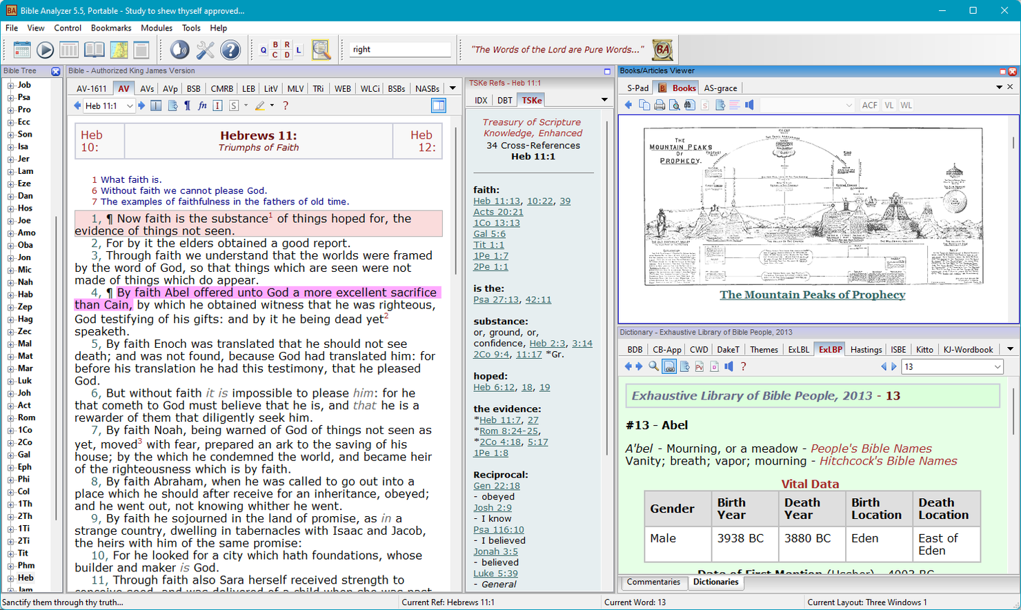 Bible Analyzer screenshot - 10 migliori software biblici nel 2026
