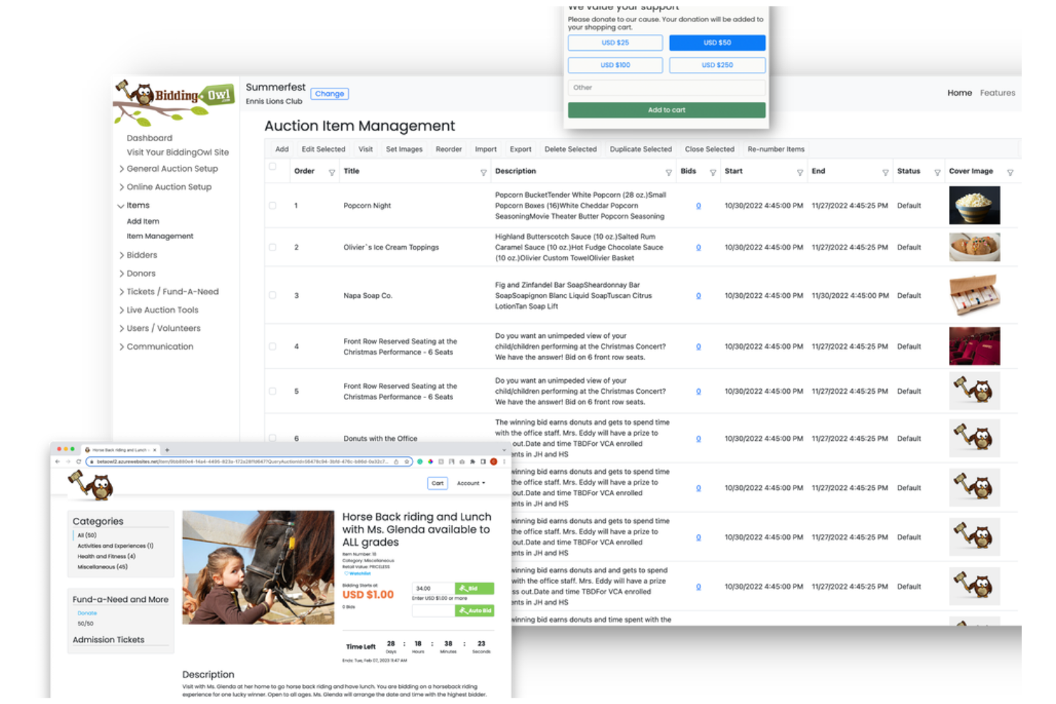 BiddingOwl.com screenshot - 10 Migliori Soluzioni Software per Aste Non Profit Recensite nel 2026