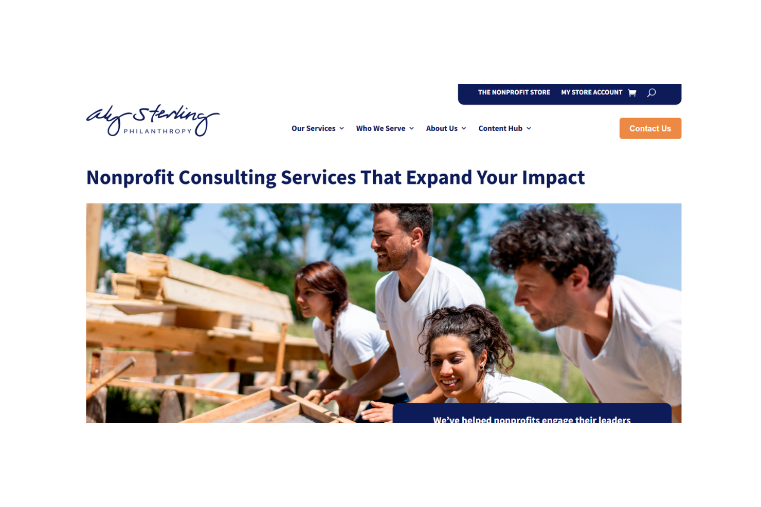 Aly Sterling Philanthropy screenshot - 10 Mejores Servicios de Gestión para Organizaciones sin Fines de Lucro Analizados en 2026