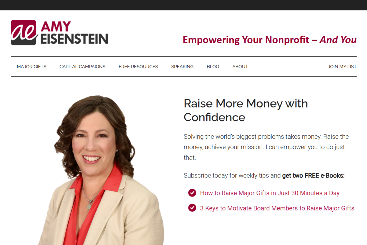 Amy Eisenstein screenshot - 10 migliori società di consulenza per raccolta fondi recensite nel 2026