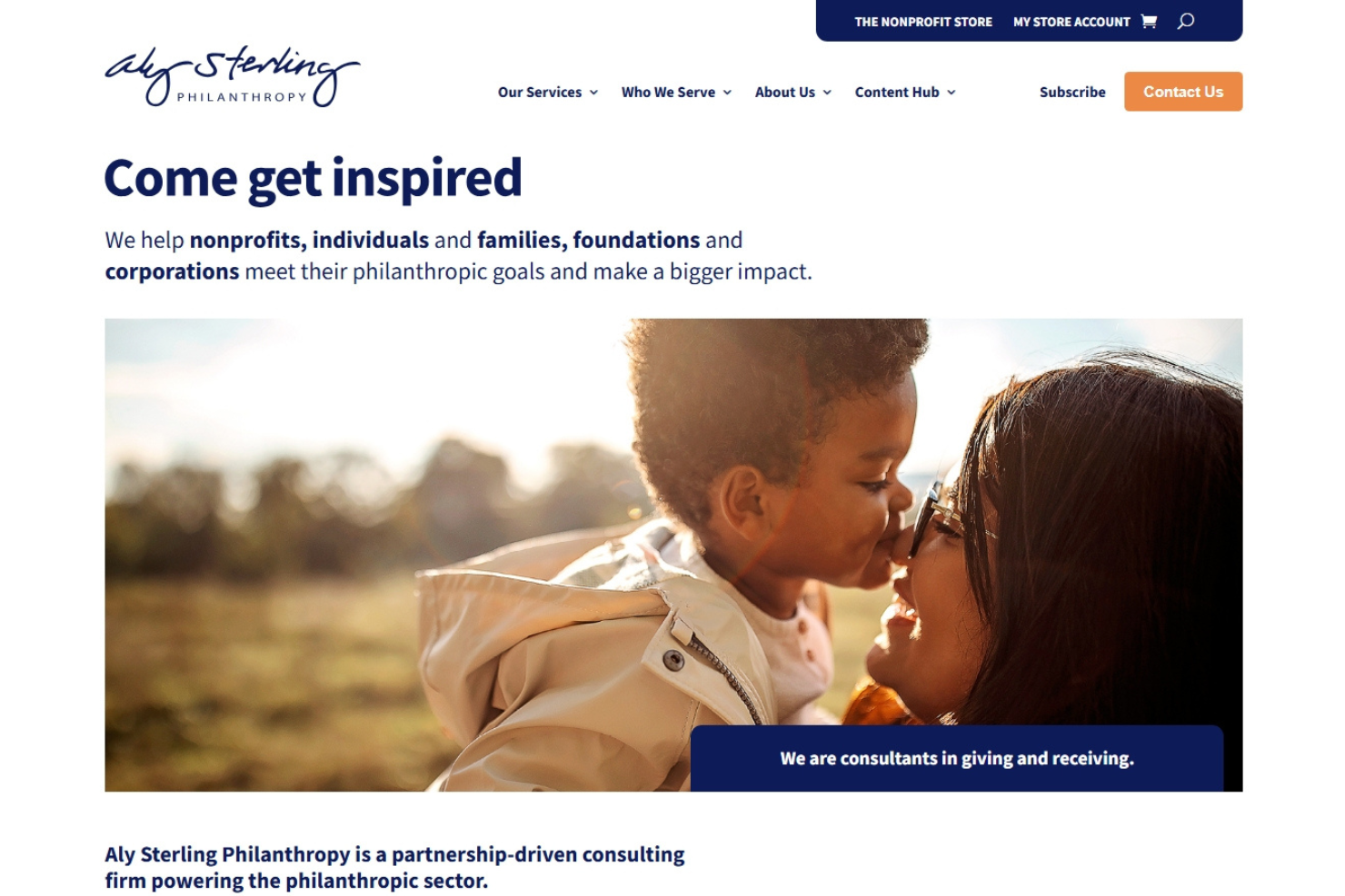 Aly Sterling Philanthropy screenshot - 10 mejores consultores de recaudación de fondos para organizaciones sin fines de lucro analizados en 2026