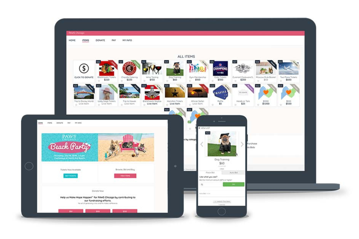 GiveSmart screenshot - Le 10 Migliori Soluzioni Software per Aste Non Profit Recensite nel 2026