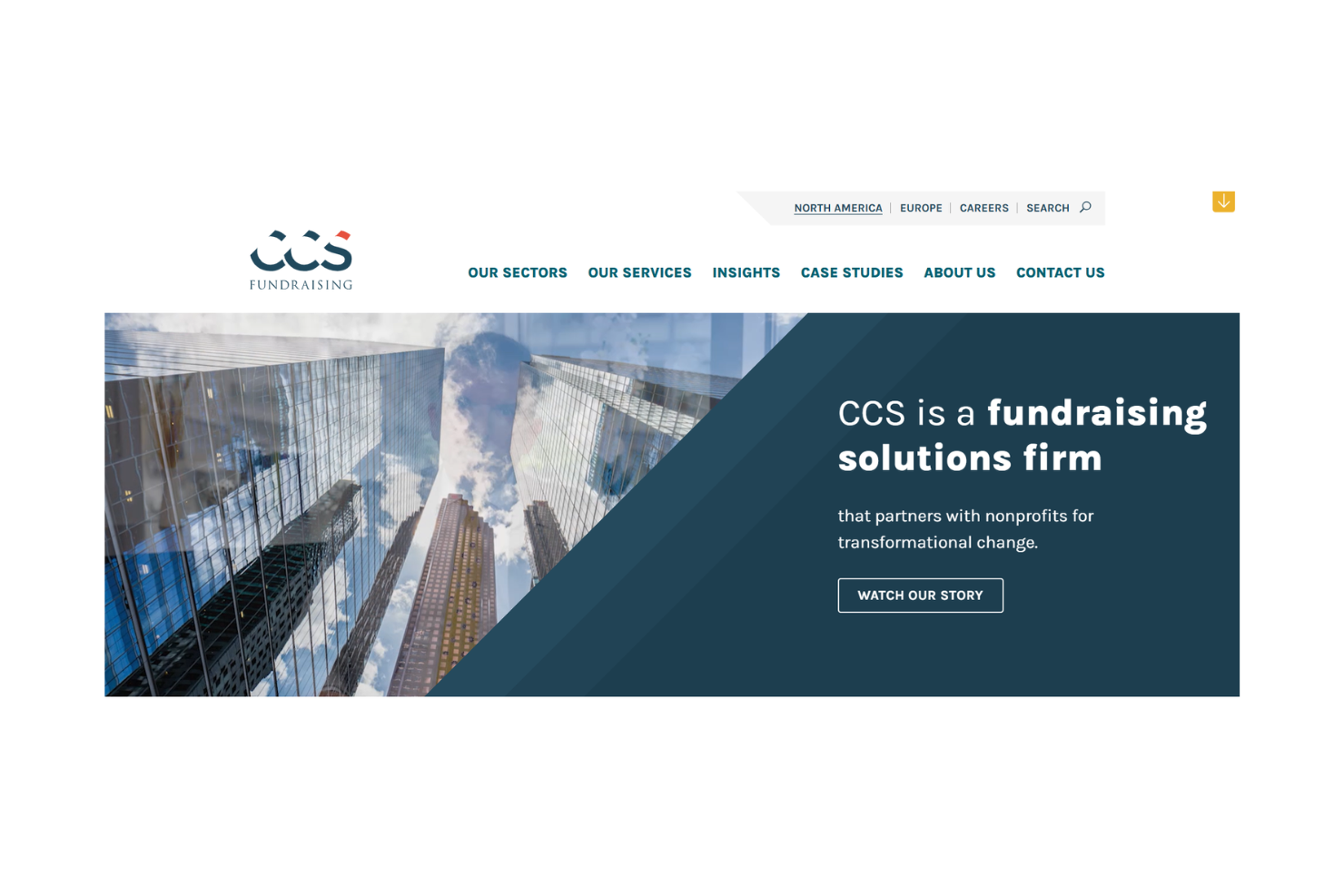 CCS Fundraising screenshot - 10 beste diensten voor non-profitbeheer beoordeeld in 2026