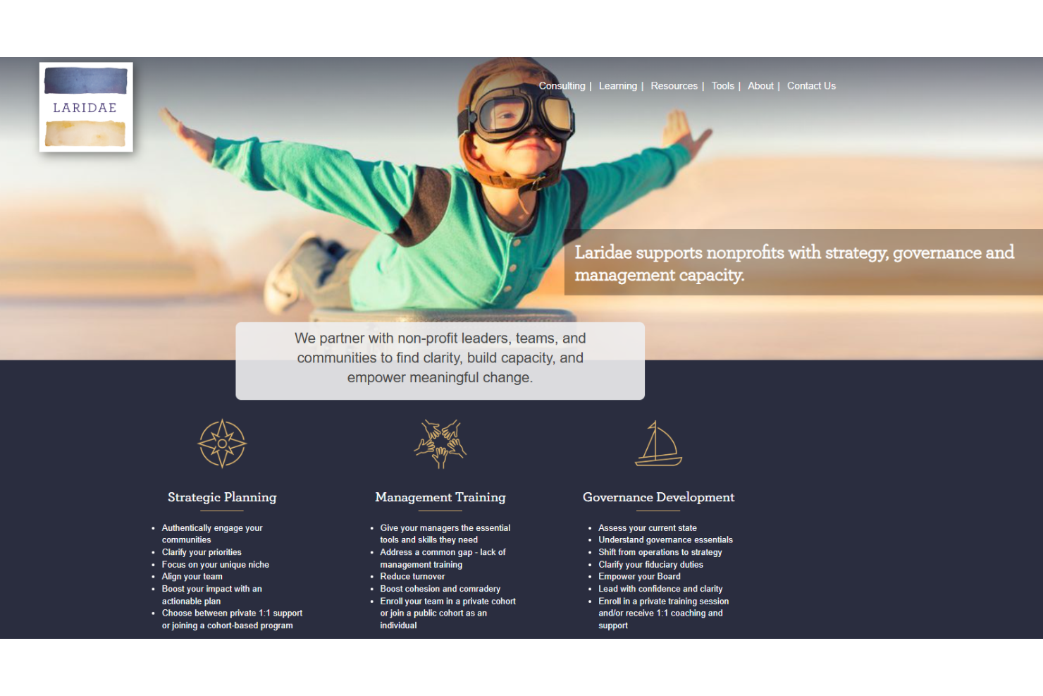 Laridae screenshot - 10 beste adviseurs voor fondsenwerving voor non-profitorganisaties beoordeeld in 2026
