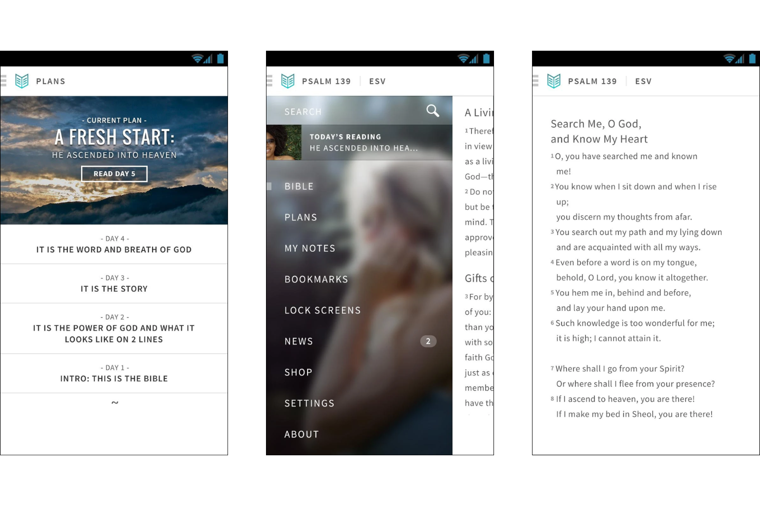 She Reads Truth screenshot - 14 Bible Study Apps for 2026