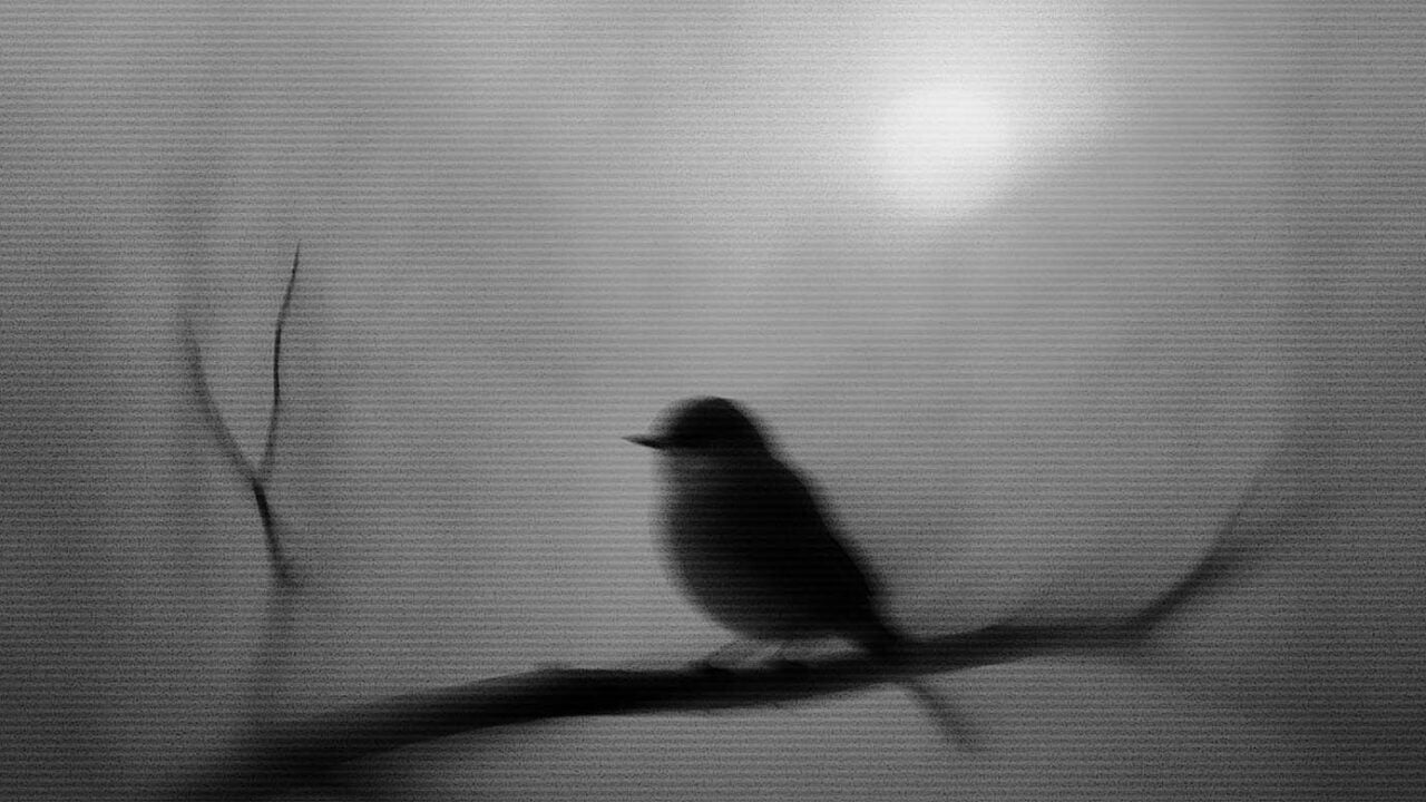 faith over fear featured image