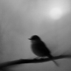 faith over fear featured image