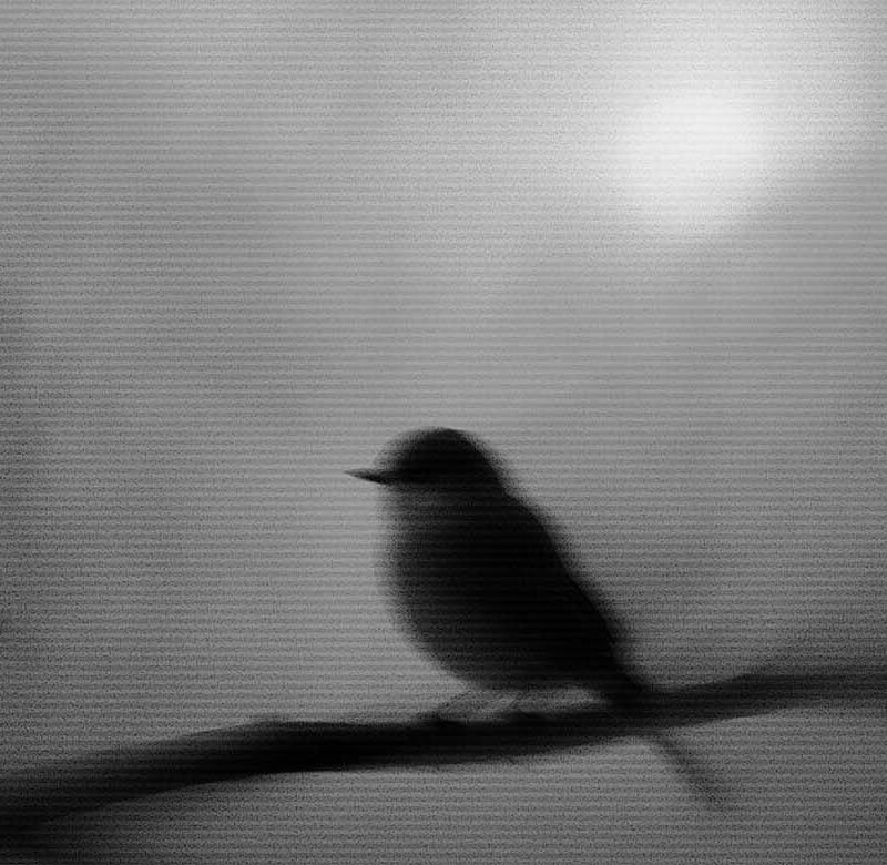 faith over fear featured image