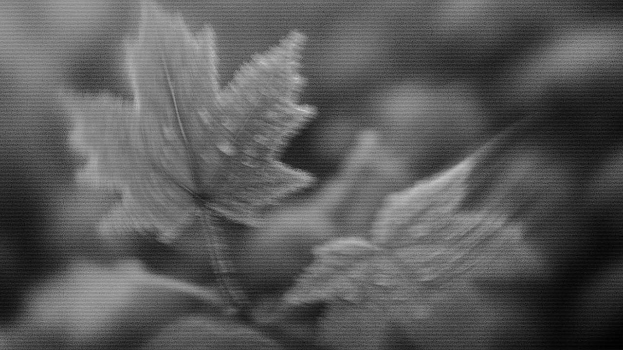 TLP-How-Long-Should-a-Church-Keep-Tithe-Records–featured-images-40484