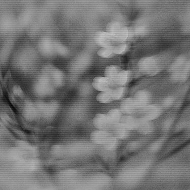 grants for church repairs featured image