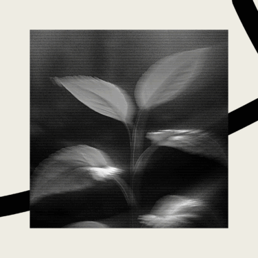 TLP – How To Guide – increase church giving – Shelagh Balfoort – featured image-21471