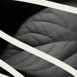 TLP – Keyword – tithe and offering messages – Jelena Gordon – featured image-70434