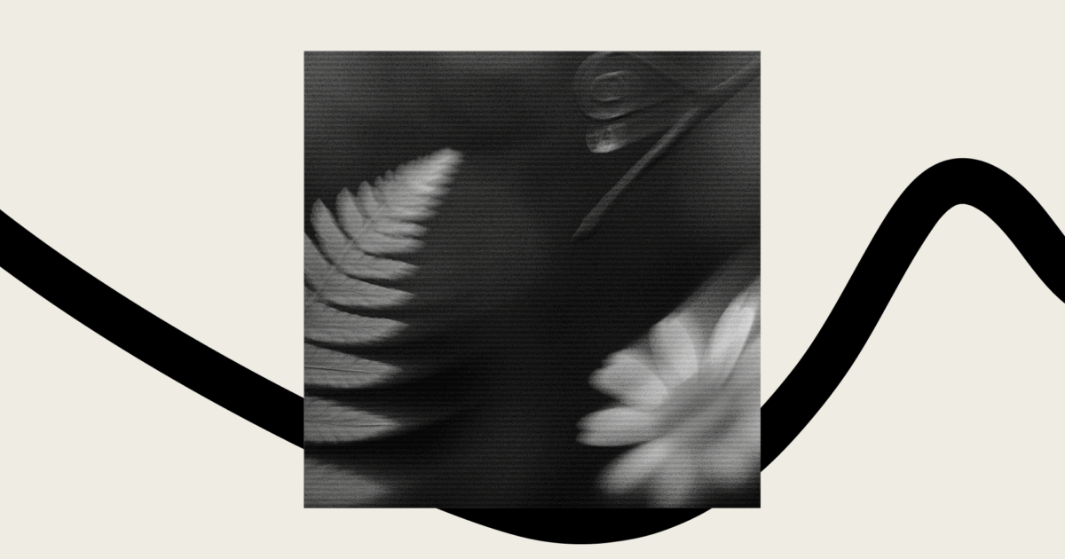 The Pastor's 5Step Guide to Church Chart of Accounts The Lead Pastor