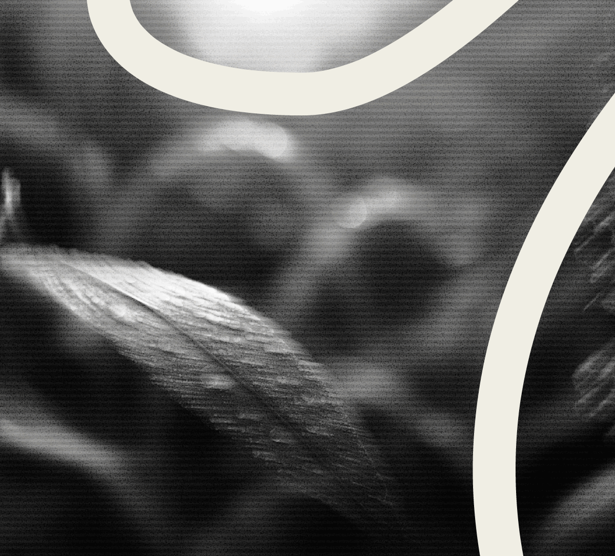 how-to-launch-and-grow-an-online-ministry-for-your-church-2025-edition