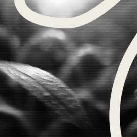 How To Launch And Grow An Online Ministry For Your Church featured image