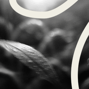 How To Launch And Grow An Online Ministry For Your Church featured image