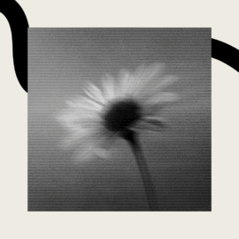 TLP-SEO-for-non-profits-featured-images-15702