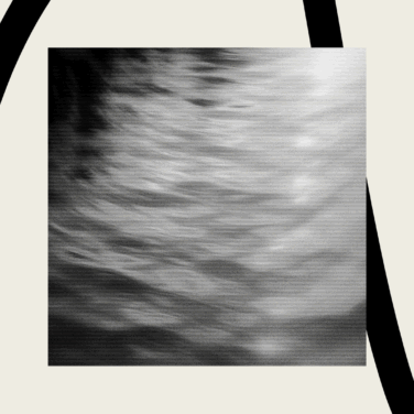 TLP – Roundup – examples of church vision statements – Shelagh Balfoort-29653