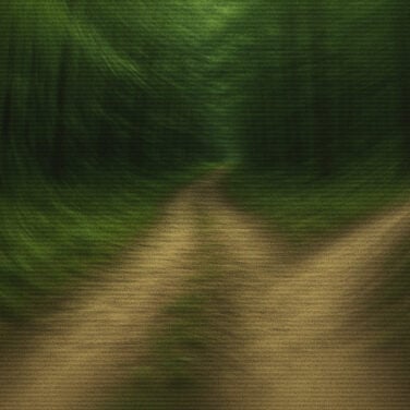 The path forward is a bit confusing, and a tempting side trail is close at hand.