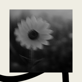 gift acceptance policy featured image