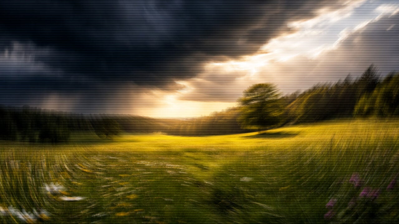 TLP – Editorial – take the pressure off of easter – Joshua Gordon-11155