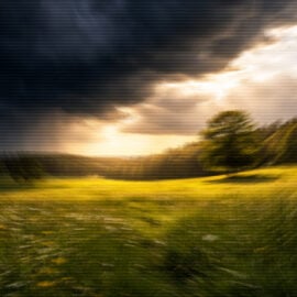 TLP – Editorial – take the pressure off of easter – Joshua Gordon-11155